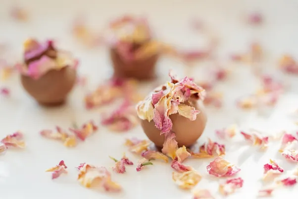 Cresus Kasino Android/iOS aplikace